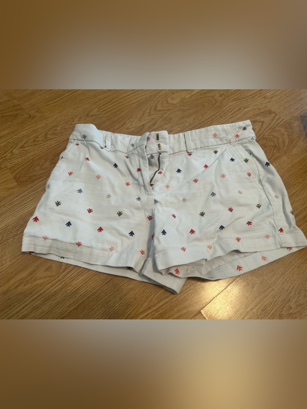 LOFT White Embroidered Arrow Cotton Shorts